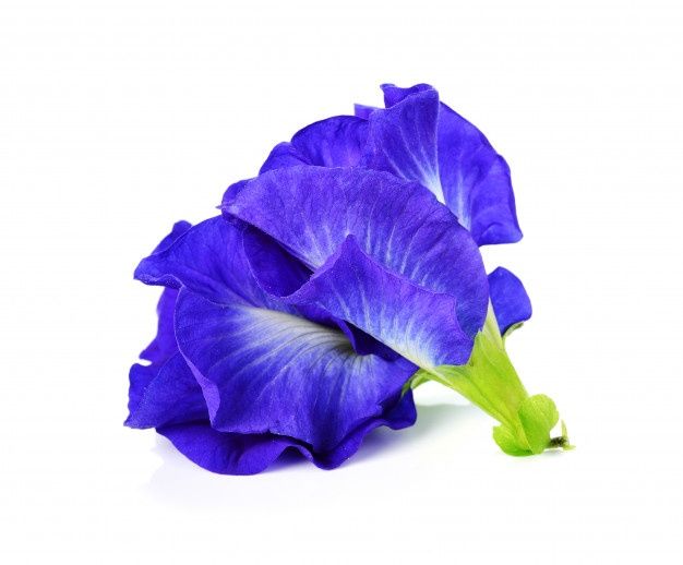 Butterfly Pea Packet